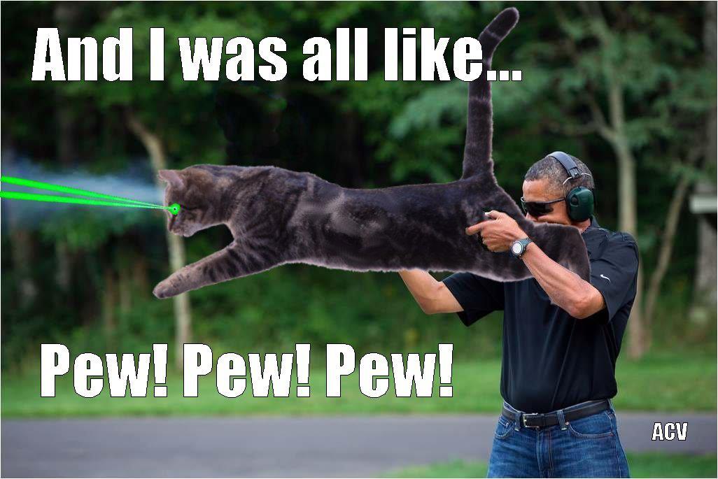 obama skeet laser cat