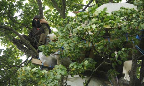 Protester in Tree