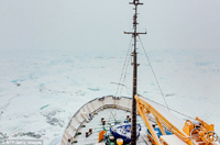 Stranded Akademik Shokalski