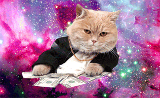 Pimp Cat in Space Money Chain Pink Orange Suit Gangster Gang Mafia Accountant Insurance companies are accountable to you