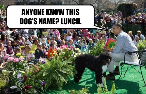 White House Easter Egg Roll 2014 Easter Memes Meme President Obama "Anyone know this dog's name? Lunch." Bo White House dog children kids fun story time reading children's book pup puppy canine stage sitting down chair