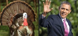 Thanksgiving Turkeys: The Worst of Democrats in 2014 awful terrible horrible Democratic politicians President Obama Hillary Clinton Harry Reid Mary Landrieu Mark Pryor Debbie Wasserman Schultz Joe Biden Jonathan Gruber Nancy Pelosi Susan Rice Wendy Davis John Kerry Washington Free Beacon funny video compilation montage